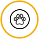 Pet Relocation
