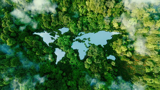 Sustainability initiatives